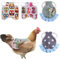 Wilsonzin GeflüGel Henne Sattel Hen Chicken Saddle HüHner-SchüRzen Warnweste Für Hühner Huhn Weste Für Huhn Und Ente Schürze Schutz Rückenschutz Jacke Huhn Und Ente 4 Stück