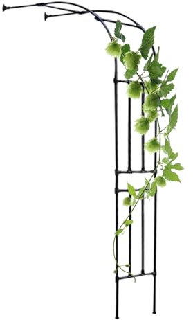 Tonnelle à roses en demi-arche de jardin, arcs de support de fleurs, treillis d'arche pour plantes grimpantes, treillis de pergola avec support mural, arc demi-siède Junvstor et tonnelles(W220xH240CM(