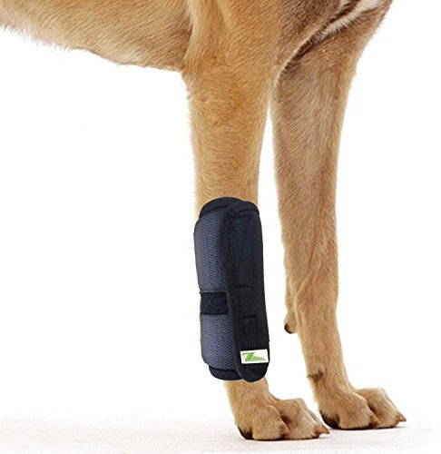 RockPet Gelenkbandage für das Vorderbein ihres Hundes (S/M)