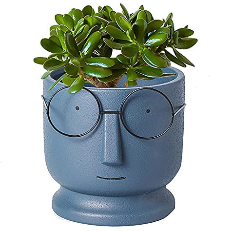 Visage Cache-pot Jardinière Ciment Pots De Fleurs,Petit Céramique Succulente Pot,Créatif Lunettes Visage Pots De Plantes Pots De Cactus Pour Accueil Bureau Mariage Décor-Bleu 14x14x13cm(6x6x5inch)