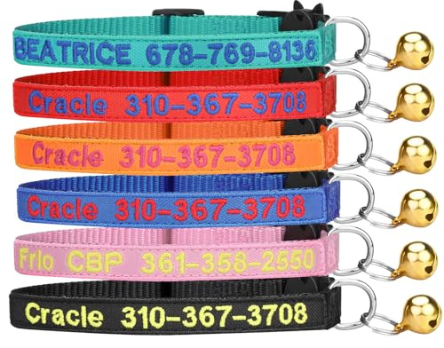 Personalisiertes Katzenhalsband,mit Sicherheitsschnalle mit Glocke Nylon-ID-Halsband für Katze oder Kätzchen,leuchtet im Dunkeln