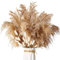 ZJTAPE Pampasgras Getrocknet - 45 Stück Natürliche Trockenblumen Deko, Braun Pampasgras Flauschige Wedel, Kurze Pampas Trockenblumenstrauß Dried Flowers, für Hochzeit Herbst Tischdeko Wohnzimmer