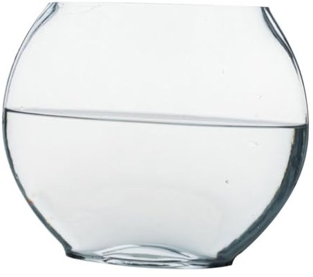 FRCOLOR Bac à Poissons Plat pour Terrarium - Vase en Verre - Décoration de Bureau - Mini Pots ovales - pour Aquarium Sensible - Aquarium à lit pour la Maison