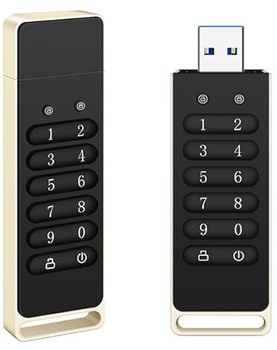 BoluDukNN Clé USB Cryptée, Clé USB Sécurisée, Clé USB 3.0 à Cryptage Matériel, Périphérique De Stockage De Données Cryptées, Compatible Mac/Windows/Linux Black-64GB