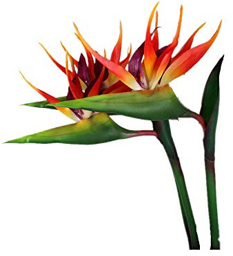 Large Bird of Paradise 32 Inch Permanent Flower,Flower Stem 0.5 Inch,UV Resistant No Fade Flower Part is Made of Soft Rubber PU,Artificial Flower Plants for Home Office 2 Pcs (Orange red)
