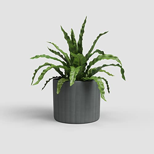 Artevasi Chloe Topf, Blumentopf Mit vertikalen Linien, dekorativer Topf, Handgefertigte Keramik, Anthrazit, 21cm