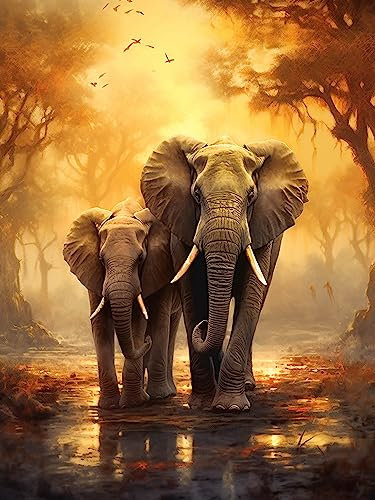 Diymood DIY Diamond Painting Elefant Kit – 5D Diamant Bilder Wald für Erwachsene | Kunstvolle Strass Stickerei Sets für Home Dekoration | 30X40 cm Wanddekoration