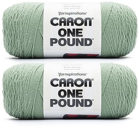 Caron One Pound Yarn, 2 Pack, Succulent