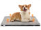 Nobleza Self Heating Pet Pad Dog Bed Large, Soft Fleece Dog Crate Bed Mattress with Memory Foam, Non-Slip Self Warming Dog Cushion Cage Pad Washable, Grey, 76.5x48x4cm