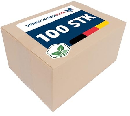 VERPACKUNGSFUXX Versandkartons Basic 100er Set | stabile Faltkartons 258 x 188 x 136 mm | kleine braune Kartons aus robuster Wellpappe | ideal für den sicheren Versand