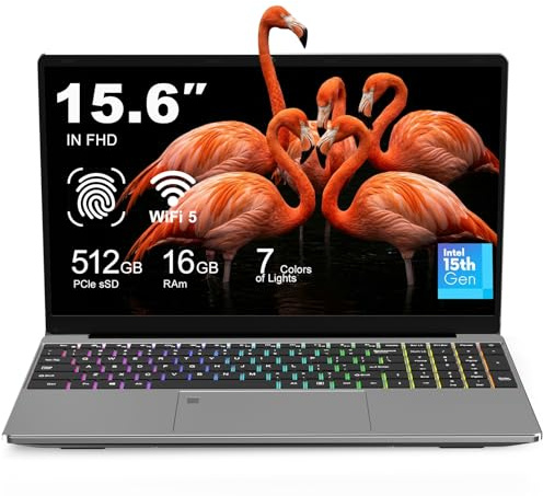 PEFOHYTKM Laptop 15.6 Inch FHD IPS Display, Celeron N95 Quad Core, 16GB RAM 512GB SSD, Ultra Thin Lightweight Notebook for Student Office Daily Use