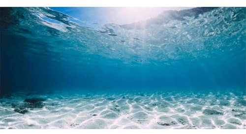 AWERT Hintergrund für Aquarien, Vinyl, 121,9 x 50,8 cm