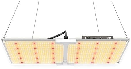 Quantum LED Board 100w, 200w - Elite Lighting (200w)