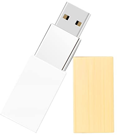 Clé USB 32Go Acrylique, LEIZHAN Mémoire Stick USB Pendrive Flash Drive en Silicone Cadeaux pour étudiants, familles et Enfants (32Go,Acrylique)