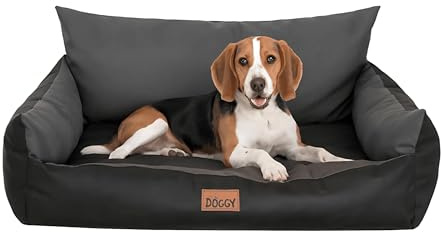PillowPrim Hundebett - Möbel für Tiere, Katzenbett - Hundekorb für kleine mittelgroße & große Hunde - Hundekissen – Hundesofa – Hundeliege – Schlafplätze - 80x61 cm - Graphit