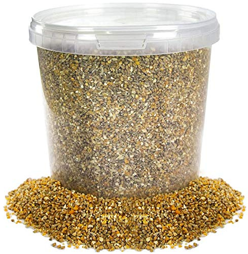 BusyBeaks Mixed Poultry Corn | Premium Quality Natural Seed Feed Mixt | Rich in Vitamins and Calcium | Chicken Duck Geese Food | Helps Develop Strong Beaks Tough Bones & Healthy Feathers (2.5L Tub)