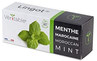 Lingot® Marokkanische Minze Bio – kompatibel mit echten Indoor-Gemüsegärten und Exky® – gebrauchsfertige Nachfüllpackung – Substrat mit integrierten Samen..