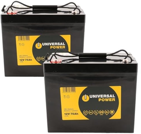 Ersatzakku für Invacare 3G Storm Arrow 24V 2 x 12V 75Ah