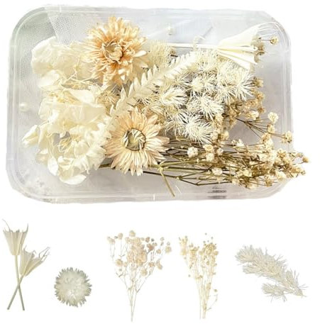 KSJEHW Fiori Secchi per Resina Fiori Secchi Decorativi Fiori Secchi per Candele Fiori Secchi per Decorazioni per Resina Epossidica Bouquet Fiori Secchi Artigianato Scrapbooking Decorazioni(WEISS)