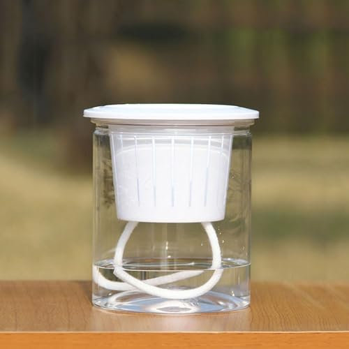Modern transparent mit Wasserspeicherfunktion, tolle Ergänzung für Ihr Haus oder Garten (12 cm)