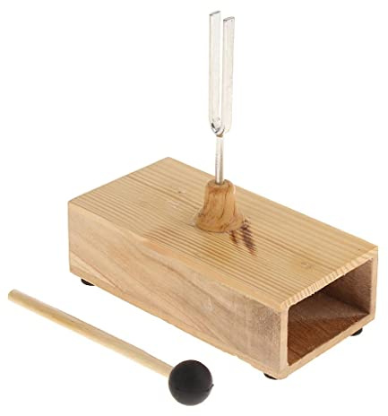 Qianly Stimmgabel mit Holzkiste Akustisches Studieninstrument
