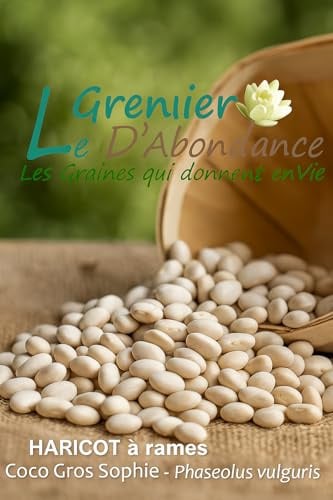 75 grammes de graines à semer - Le Grenier d'Abondance - HARICOT à rames Coco Gros Sophie - Phaseolus vulgaris