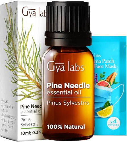 Gya Labs Ätherische Kiefernöle für Diffusor - 100% Reines Natürliches Herbstkieferöl für Haut, Körper, Zum Selbermachen von Kerzen - Frischer, holziger Duft (10 ml)
