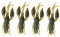 Demeras 4 Stück/Set Langustenk?der Flusskrebs K?der Farb K?der Gummik?der Krebse Angeln Angelzubeh?r K?der Set Aus Weichem Kunststoff (Sauce Green, 1#)