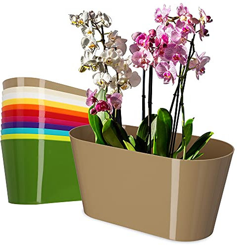 KADAX Blumentopf aus Kunststoff, 27 x 13 cm, breiter Topf, ovaler Pflanzentopf, Blumenübertopf für Orchideen, Bellis, Stiefmütterchen, Drazänen (Beige)