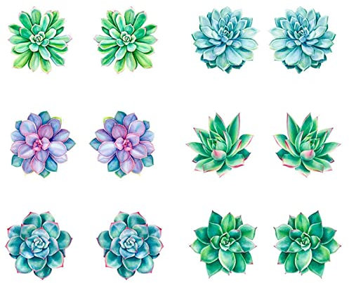 XRDSHY Magnete Für Fliegengitter Durchlaufschutz Reparaturset Und Vogelschlagschutz in Einem,Fliegengitter Reparatur Magnet,Magnete Anstatt Aufkleber Sticker,Saftig