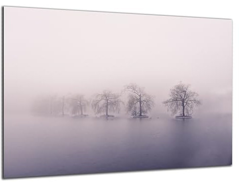 DARO Design - Wand-Bild 6mm HDF 30x20 cm Winter Nebel Bäume - Wand-Deko Bilder Wohnzimmer