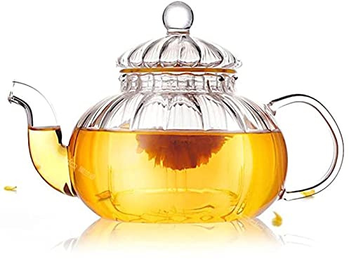 YNIYUJKL Théière en Verre avec Pichet À Eau Et Immersion pour Limonade Et Thé Glacé,Transparent-600ml
