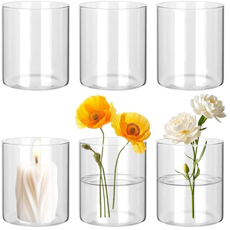 BUCOMTU 6 Stück Glasvase, 10 × 8.5cm Kleine Vasen, Kleine Glasvasen für Tischdeko, Hoch Blumenvasen, Kerzengläser Glaszylinder für Tischdeko, Frische Blumen, Kerzen und Aromatherapie