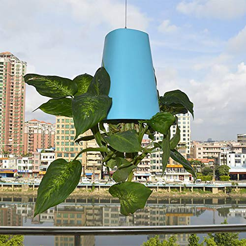 Sky Planter Recycled Medium Upside Down Sky Pflanztopf Keramik Wand Pflanzgefäße Dekorative Pflanzentöpfe Vase für den Innen- und Außenbereich für Balkon Garten Wohnkultur (Blau)