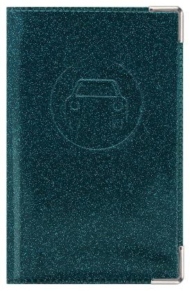 Color Pop Porte-papiers Voiture Nouveau PERMIS - Fabrication française - PVC – papiers français – Carte Grise et Nouveau permis Conduire – 13,8 x 9 cm - (Disco Sapin)