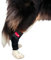 HERZENSTIER Sprunggelenkbandage Neopren Gr. M für Hunde & Katzen ohne Schienen zur Unterstützung des Tarsalgelenks beim Sport, zur Prävention vor Überlastungen & Fixierung von Verbänden