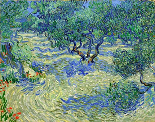 DTAUPREB Vincent Van Gogh Olivier Paysage DIY Peinture par numéros Kits pour adultes et enfants Peinture à l'huile Arts Cadeau