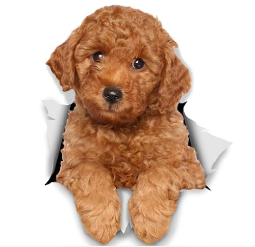 Adesivo per auto con barboncino, 18 cm (7,1 pollici) Poodle Car Sticker 3D strappato barboncino adesivo riflettente paraurti divertente decorazione impermeabile