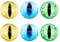 SUPERFINDINGS 3paire 3couleurs Yeux Demi Ronds 30mm Globes Oculaires Yeux en Verre Yeux de Chat Yeux de Dragon Yeux en Dôme en Verre Cabochons Œil de Sécurité pour la Fabrication de Bijoux