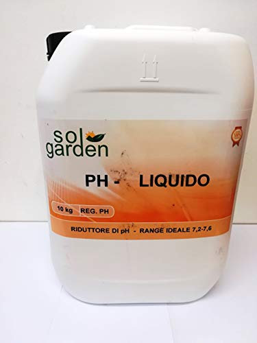 10 kg Ph minus liquido meno correttore regolatore riduttore ph pulizia acqua piscina