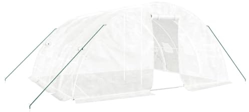 vidaXL Serre avec Cadre en Acier Blanc 20 m² 5x4x2,3 m