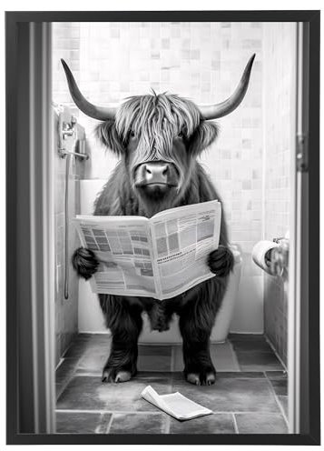 Hochlandrind auf WC, Poster 50cm x 70cm mit Rahmen, Toilette Badezimmer Deko Bild, Wand-Deko Bilder Lustiges Geschenk