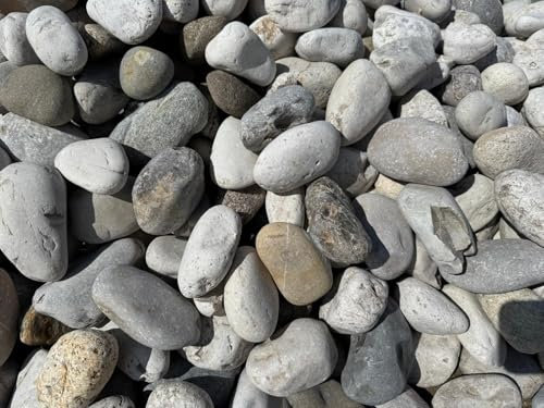 Ciottoli di Fiume del Piave, 5-6 cm, Colore Misto, per Giardini e Pavimentazioni Esterne, con Guanti in Omaggio