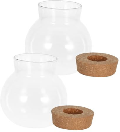 BESPORTBLE 2 Pezzi Vaso Trasparente in Vetro Per Coltivazione Acquatica Contenitore Per Piante Da Tavolo Vaso Per Propagazione Di Piante Barattolo in Vetro Per Fioriere