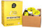 hello simple - DIY-Set Body Butter Orange zum Selbermachen (180 g), Naturkosmetik-Box, vegan, bio, plastikfrei, mit Orangenduft