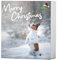 Bubimex Adventskalender für Hunde
