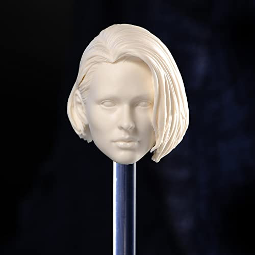 VUSLB 1/6 Scale Female Head Sculpt, Jill Valentine Unpainted Head Carving Series Carved for 12 inches Action Figure Collection Doll