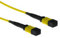 5M MTP/MPO(F) 9/125 OS2 P A