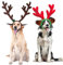 Mfsdai Haustier Rentier Haarreif Geweihe Elch Kopfschmuck,Verstellbare Weihnachtskopfbedeckung Verkleidungen & Kostüm Geschenk für Mittlere und Große Hunde