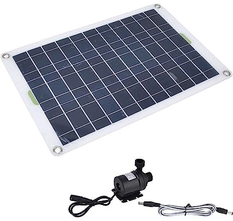 Aolidsive Kit de Pompe à Eau Solaire avec Technologie DC à Faible Bruit, Débit de 800 L/h pour Fontaine de Jardin, Maison et Bateau